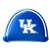 Kentucky Wildcats Putter Cover - Mallet (Colored) - Printed 