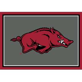 Arkansas Razorbacks 3x4 Area Rug 