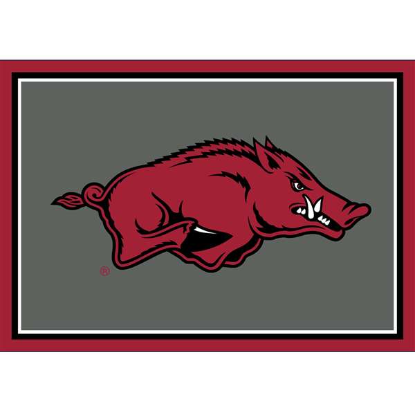 Arkansas Razorbacks 3x4 Area Rug 