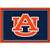 Auburn Tigers 3x4 Area Rug 