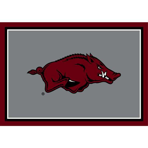 Arkansas Razorbacks 4x6 Spirit Rug 