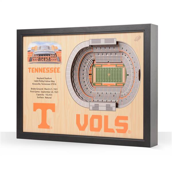 Tennessee Volunteers  25 Layer Stadium View 3D Wall Art