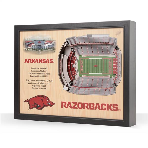 Arkansas Razorbacks  25 Layer Stadium View 3D Wall Art