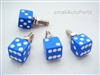 Blue Dice License Plate Frame Fasteners Bolts