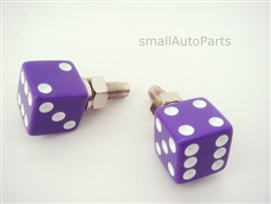 Purple Dice License Plate Frame Fasteners Bolts