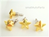 Gold Star License Plate Frame Fasteners Bolts