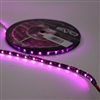 5M Purple/Fuchsia UltraBrights LED Strip Roll