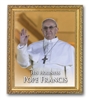 Framed Image Pope Francis