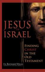Jesus of Israel : Finding Christ in