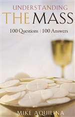 Understanding the Mass : 100 Questi