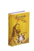 NABRE Fireside Catholic Youth Bible