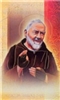 Biography Card St. Pio