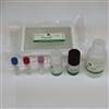 Renin (Human) ELISA Kit (Wide Range)