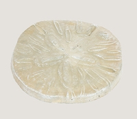 ASC Sand Dollar Stepping Stone