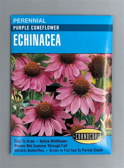 Cornucopia Purple Coneflower Echinacea