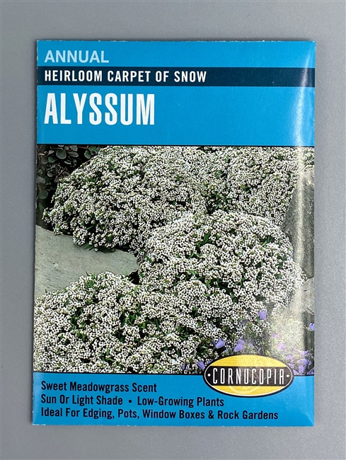 Cornucopia Heirloom Carpet of Snow Alyssum