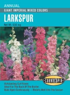 Cornucopia Giant Imperial Mixed Colors Larkspur