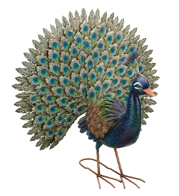 Peacock Pride