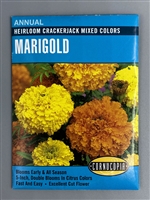 Cornucopia Heirloom Crackerjack Mixed Colors Marigold