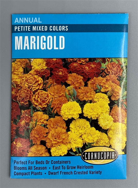 Cornucopia Petite Mixed Colors Marigold
