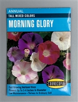 Cornucopia Tall Mixed Colors Morning Glory