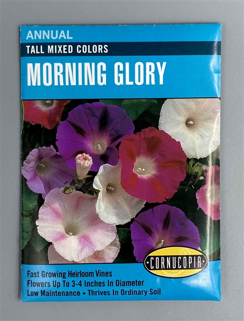 Cornucopia Tall Mixed Colors Morning Glory
