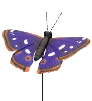 36" Purple Emperor Butterfly Stake