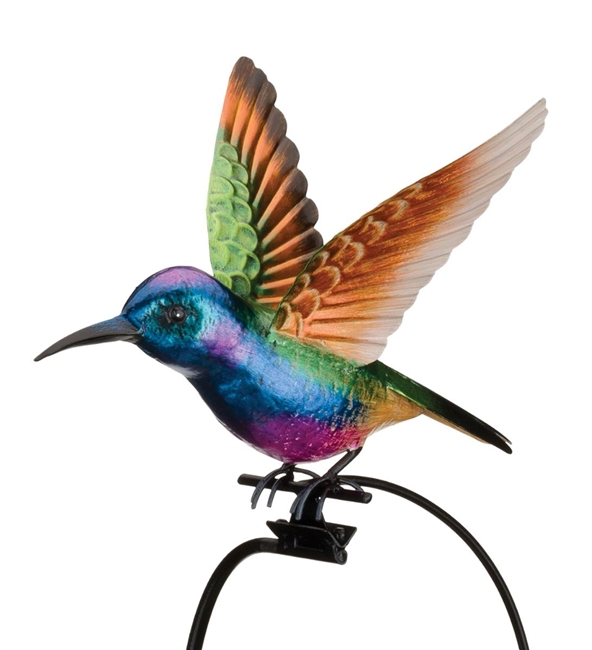 Hummingbird Rocker Coronet