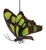 Regal Butterfly Bouncie Malachite