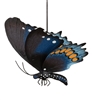 Regal Butterfly Bouncie Pipevine
