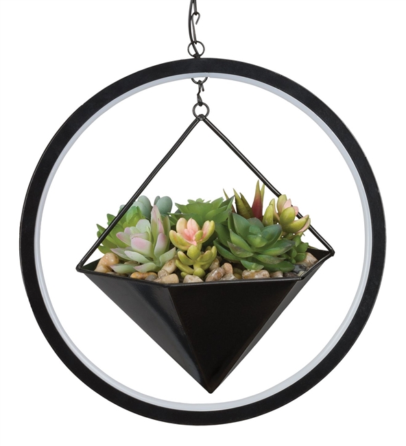Succulent Solar Lantern Hexagon