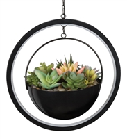 Succulent Solar Lantern Round