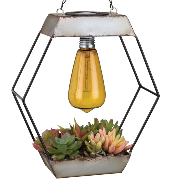 Edison Succulent Solar Lantern Diamond