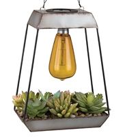 Edison Succulent Solar Lantern Pyramid