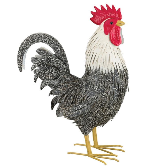 Regal Murray Rooster