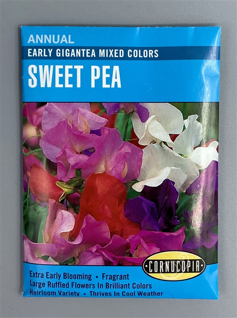 Cornucopia Early Gigantea Mixed Colors Sweet Pea