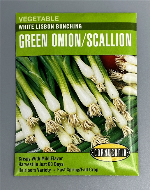 Cornucopia White Lisbon Bunching Green Onion/Scallion