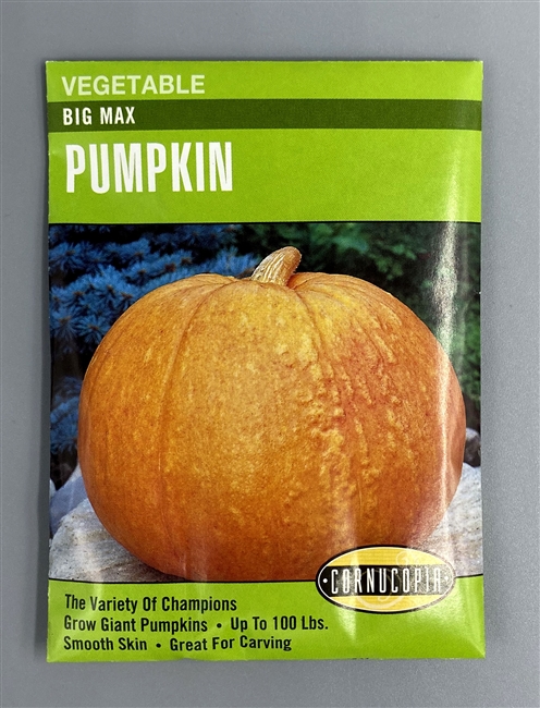 Cornucopia Big Max Pumpkin Seeds