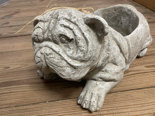 Bull Dog Planter