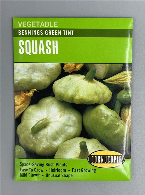 Cornucopia Benings Green Tint Squash Seeds