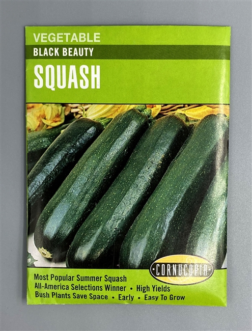 Cornucopia Black Beauty Squash