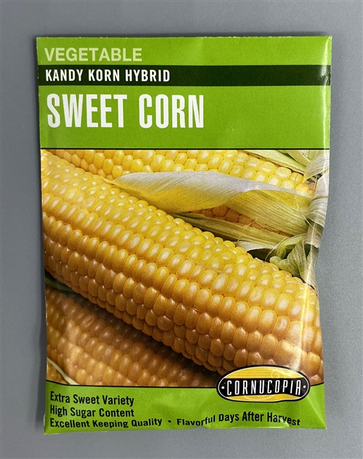 Cornucopia Kandy Korn HybridSweet Corn Seeds