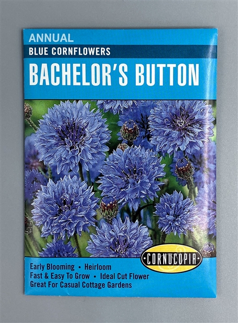 Cornucopia Blue Cornflowers Bachelor's Button