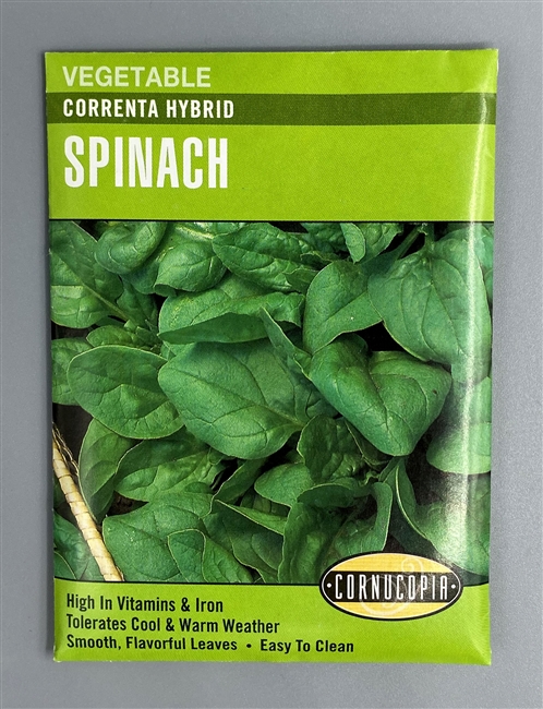 Cornucopia Correnta Hybrid Spinach Seeds