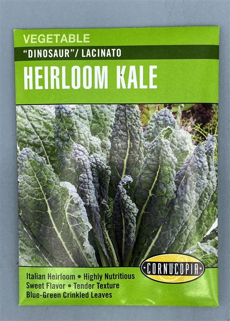 Cornucopia Dinosaur Kale Seeds