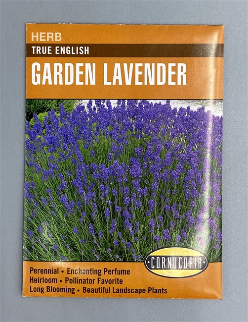 Cornucopia True English Garden Lavender