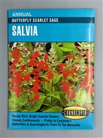 Cornucopia Butterfly Scarlet Sage Salvia