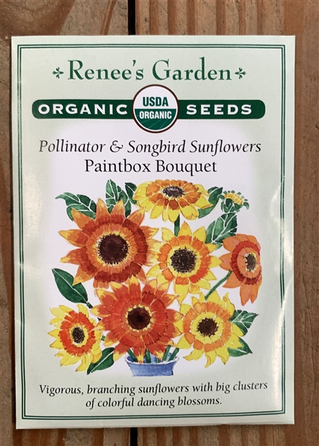 Renee's Garden Sunflower Paintbox Boquet Organic