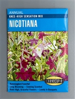 Cornucopia Knee-High Sensation Mix Nicotiana