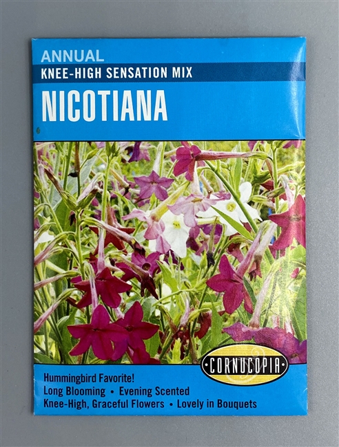 Cornucopia Knee-High Sensation Mix Nicotiana